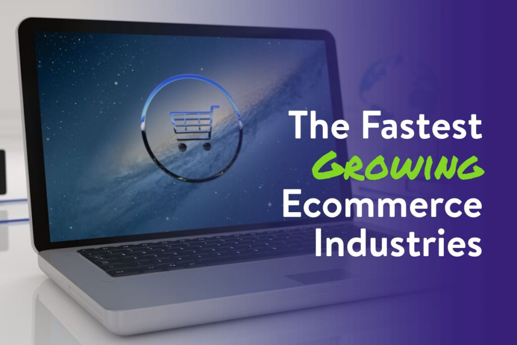 Fastest Growing Ecommerce industries